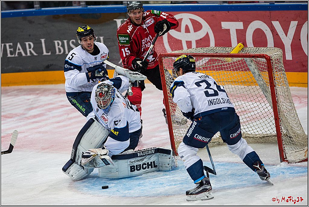 DEL, Koelner Haie - ERC Ingolstadt, 20.01.2017